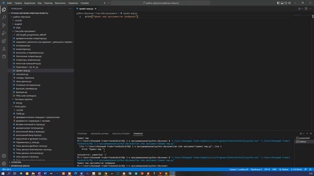 PYTHON & Visual Studio Программирование в трейдинге ДЛЯ ПРОСТЫХ людей Часть 2 смотреть онлайн