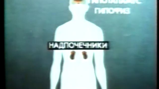 Почки смотреть онлайн