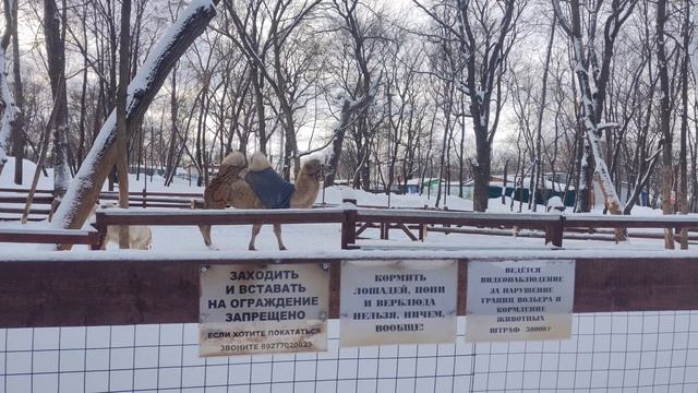 #самара #зима #россия Загородный Парк смотреть онлайн