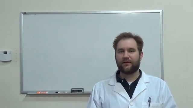 How to Get Rid of Skunk Smell смотреть онлайн