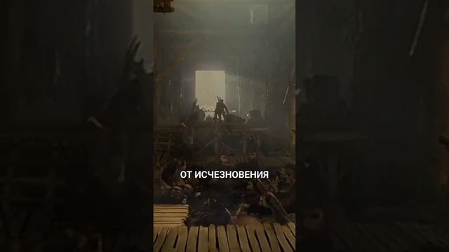 5 интересных фактов про Ноя #христианство #библия #любовь #россия #бог #вера #добро #москва #питер смотреть онлайн