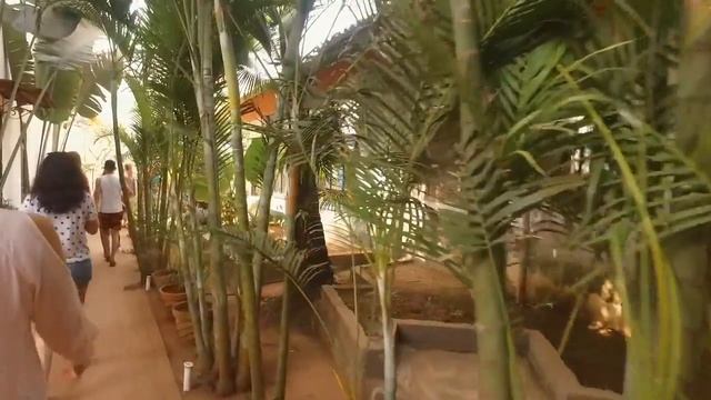 Обзор отеля ROCOCCO ASHVEM BEACH RESORT 3* (ГОА) Индия смотреть онлайн