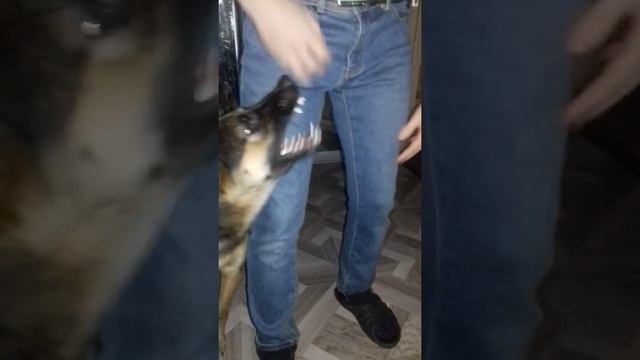 Галевудская улыбка, мне бы такие белые зубы😁 смотреть онлайн