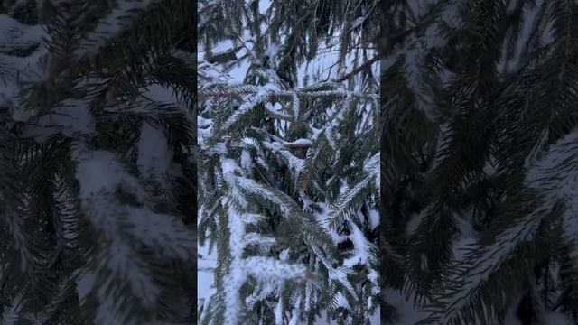 Winter days at home #snow #wisco смотреть онлайн