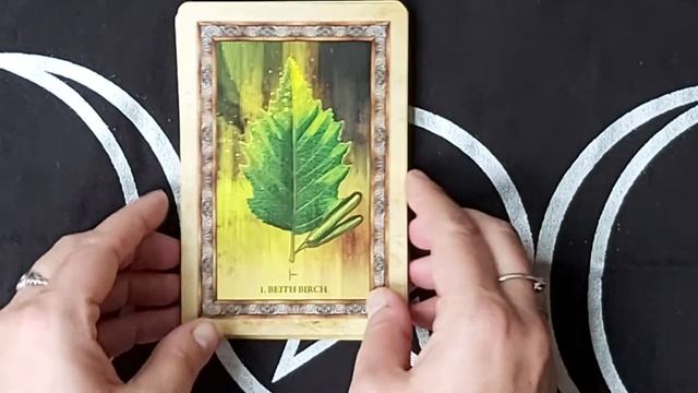 Celtic Tree Oracle смотреть онлайн