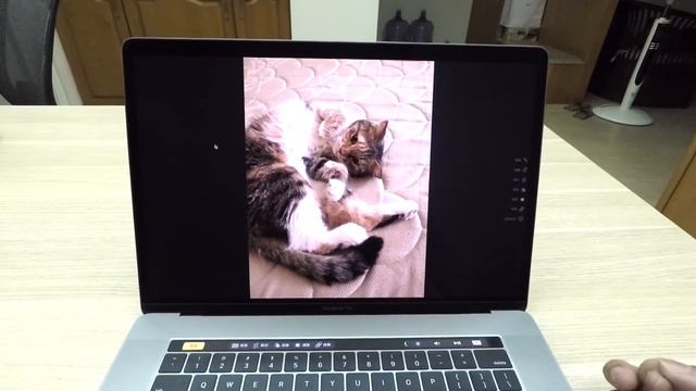 Macbook Pro 2016 Touch Bar -「照片」簡介 смотреть онлайн