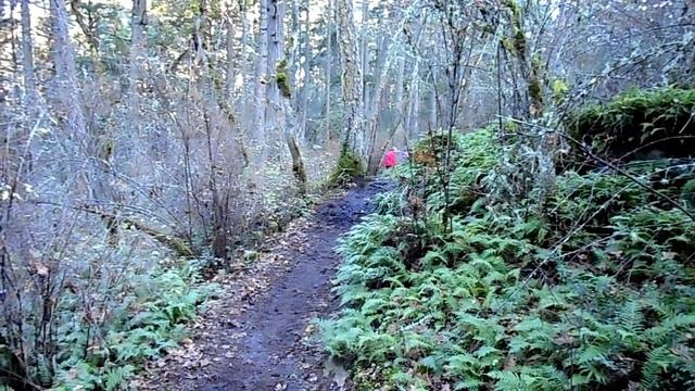 Trail trial HD Full Version смотреть онлайн