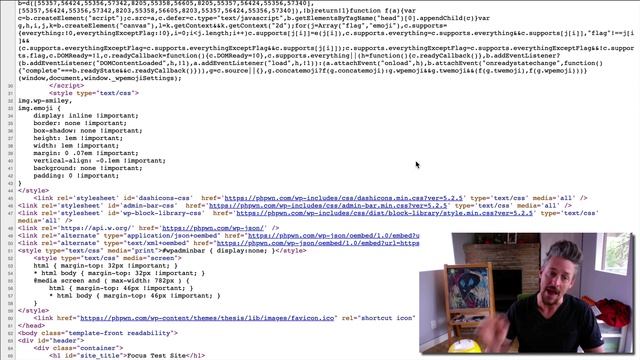 Clean Up WP Box: Optimize Your Focus Theme for Performance смотреть онлайн