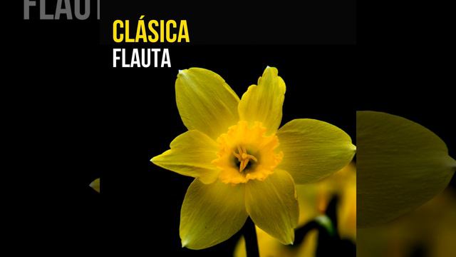 Concert Piece For Flute And Piano, Op. 3: Ii. Allegro Maestoso смотреть онлайн