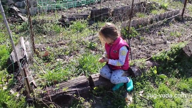 Утро Сварога или карантин от бога смотреть онлайн