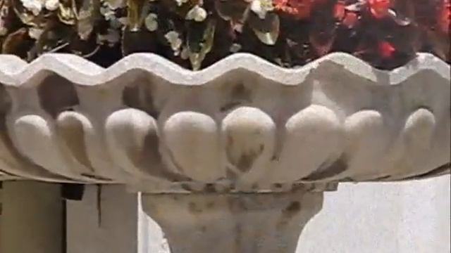 алишер и гарик томрис  и стамбул я люблю тебя