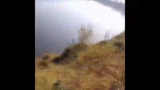 В Башкирии рыбак спас стоявшего в воде маленького жеребенка смотреть онлайн