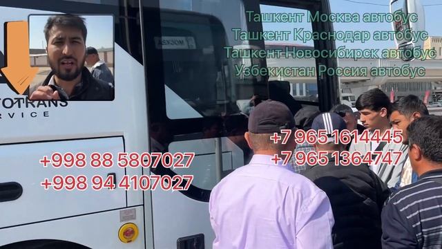 Ташкент Краснодар автобус официальный прямой рейс Ташкент Ростов-на-Дону автобус Ташкент Мариуполь смотреть онлайн