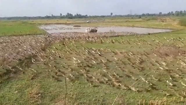 Сочи. Симпатичная ростовчанка оказалась на пляже в Австралии набрав миллион просмотров в моем канал смотреть онлайн