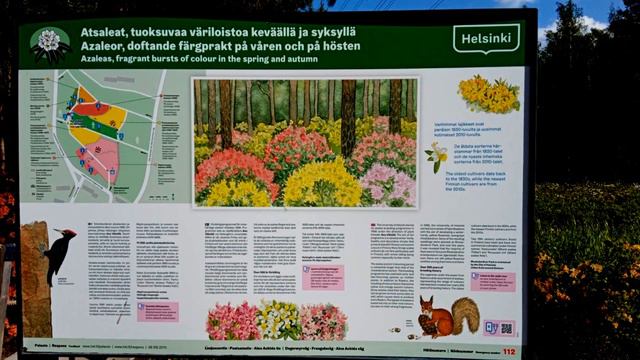 Rhododendros in bloom - 2023 смотреть онлайн