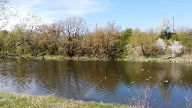 Сабаров Южный Буг апрель 2020 смотреть онлайн