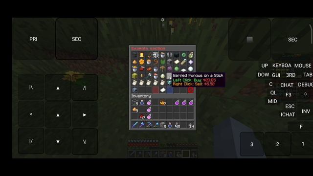 LIFESTEAL SMP FOR CRACK LAUNCHER| MINECRAFT смотреть онлайн