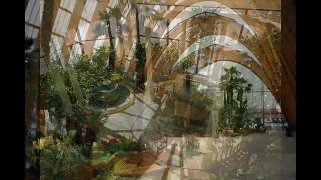 зимние сады смотреть онлайн