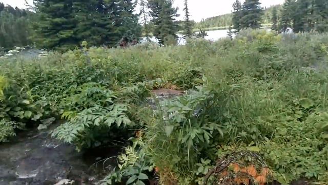 Алтай. Каракольские озера смотреть онлайн