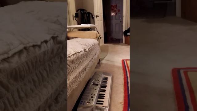 CASIO SA-75 DEMO смотреть онлайн