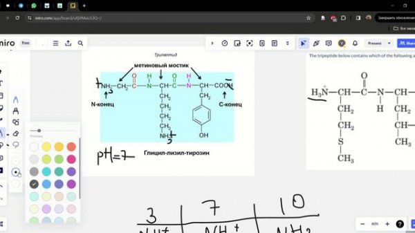 Изоэлектрическая точка