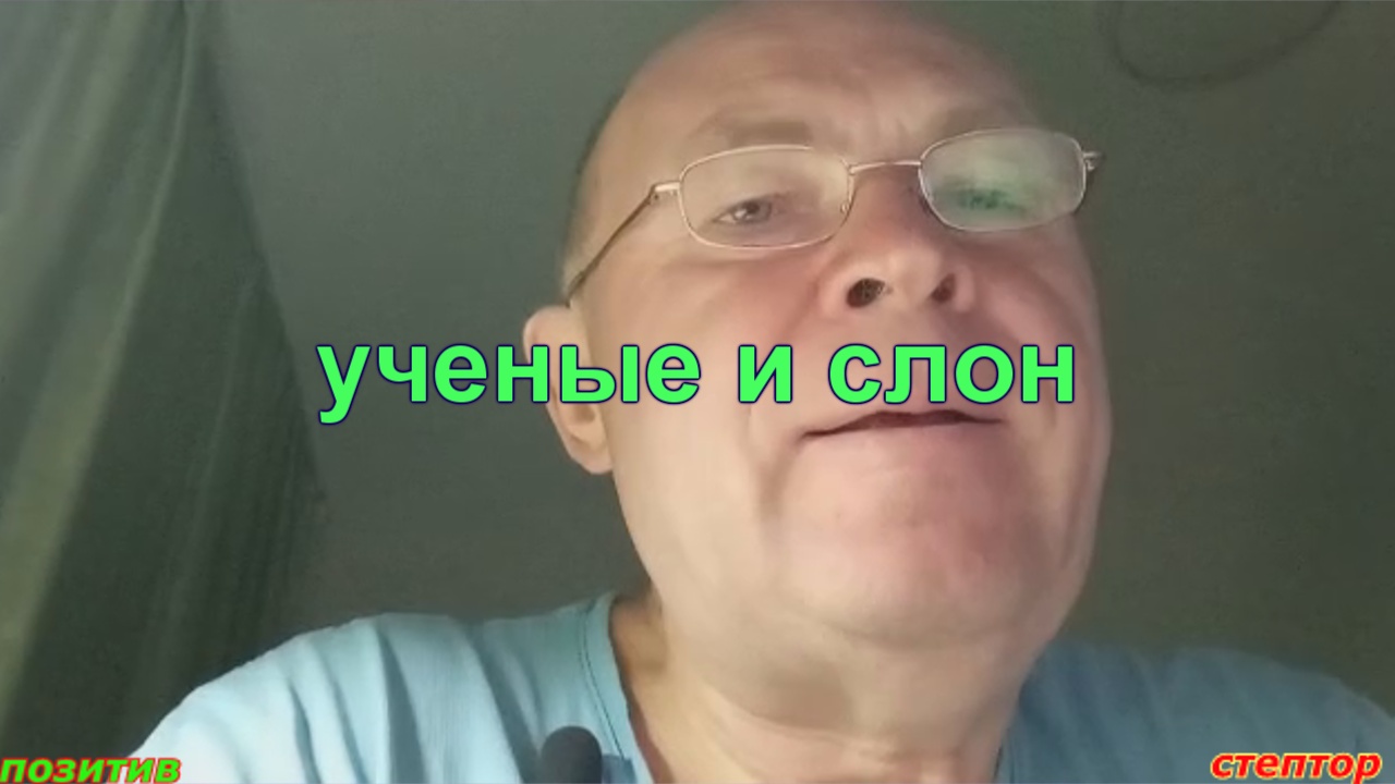Ученые и слон. Анекдот. смотреть онлайн
