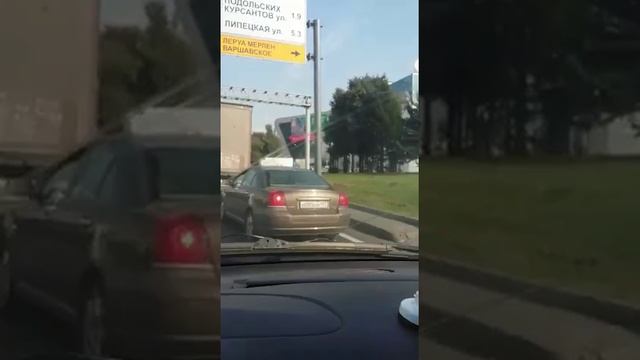 Выставка собак в ЧайнаТауне. Как найти -проезд. смотреть онлайн