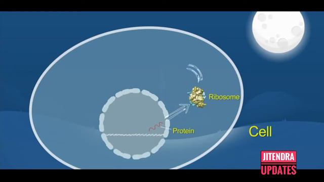 Noble prize in the field of Physiology and their Research || What is Biological Cycle смотреть онлайн