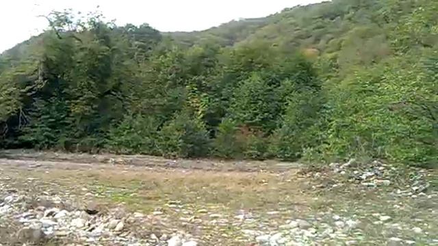 Shahe obzor смотреть онлайн