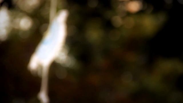 Autumn day смотреть онлайн