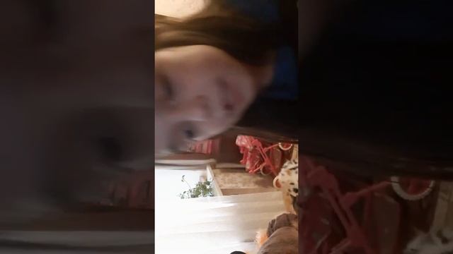 Простите ребята что отключилась камера следующее видео на моём канале!? смотреть онлайн