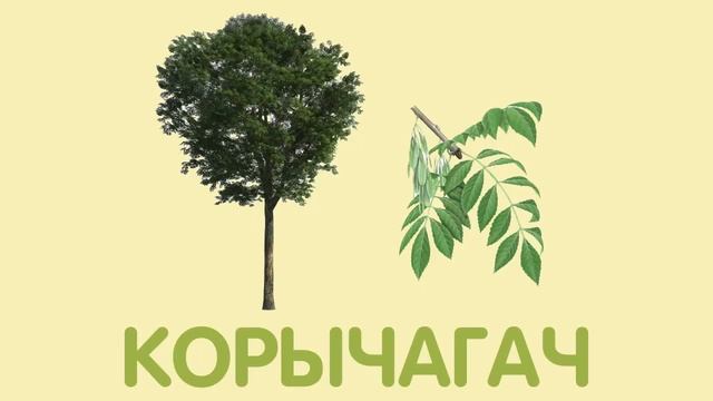 ДЕРЕВЬЯ на татарском языке / АГАЧЛАР / TREES смотреть онлайн