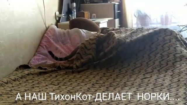 Рождественские Морозы и ТихонКот? смотреть онлайн