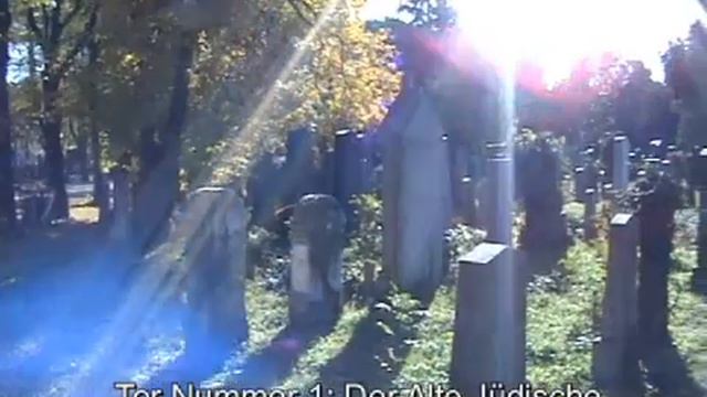 Alemán con Sonja (Lección 11) смотреть онлайн