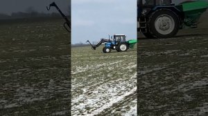 Весенняя подкормка озимой пшеницы гранулированным куриным помётом