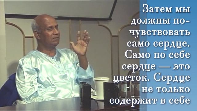 Шри Чинмой говорит о духовной значимости воды и цветов (Стокгольм, 1990. Кедар) смотреть онлайн