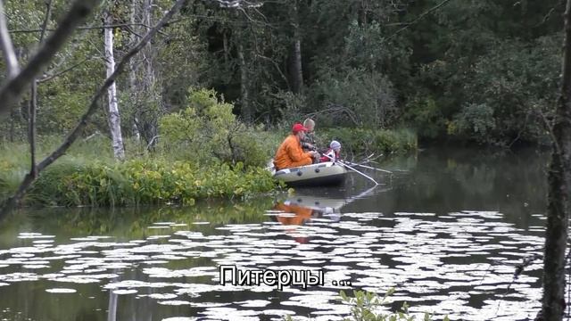 Потаённые ламбушки Карелии смотреть онлайн