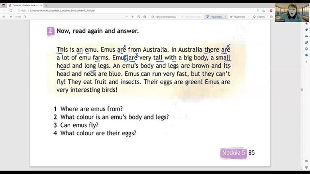 ГДЗ Spotlight 3 класс (английский) стр.17(85) упр.1,2 ANIMALS DOWN UNDER (emus, текст с вопросами) смотреть онлайн