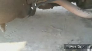 Ремонт и эксплуатация осушителя воздуха японское авто дело
