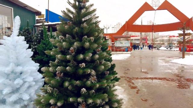 Гомель. Давыдовский рынок смотреть онлайн