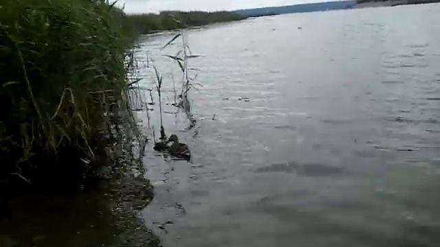 Наб челны# набережная реки# замелекесья реки #камы смотреть онлайн