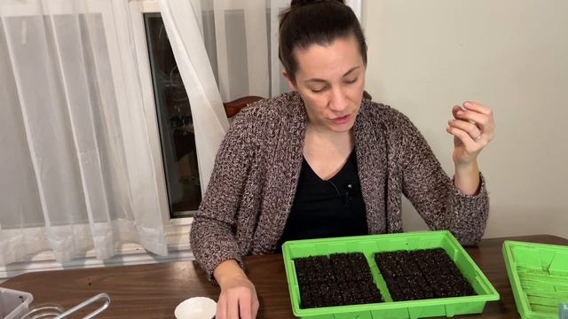 Growing Lisianthus from SEED in Soil Blocks / Seed Starting 2023 / Flower Farm / Market Garden Zone смотреть онлайн