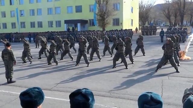 фон видео 23 февраля кз смотреть онлайн