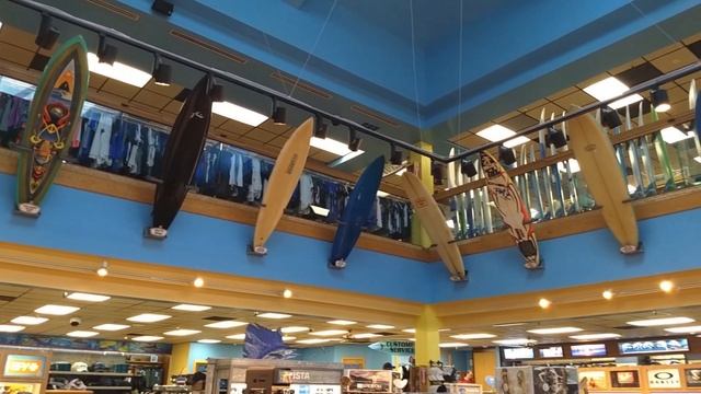 Port Canaveral Cruise Port Guide: Sightseeing On Your Own смотреть онлайн