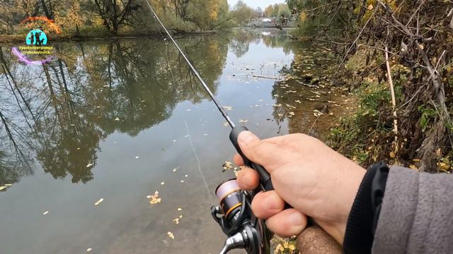 Микроджиг и мормышинг рулит р.Десна смотреть онлайн