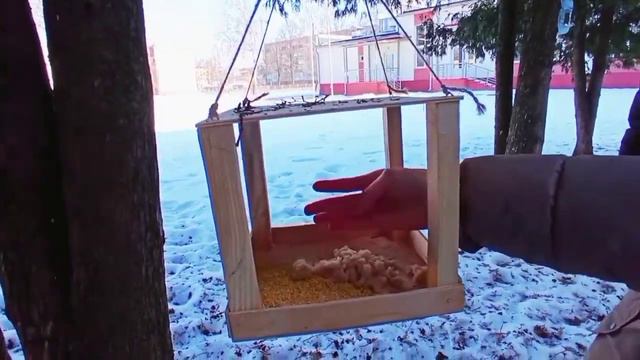 Поддержите птиц зимой! смотреть онлайн