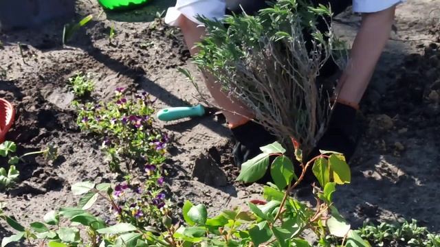 Природные Явления и Феномены