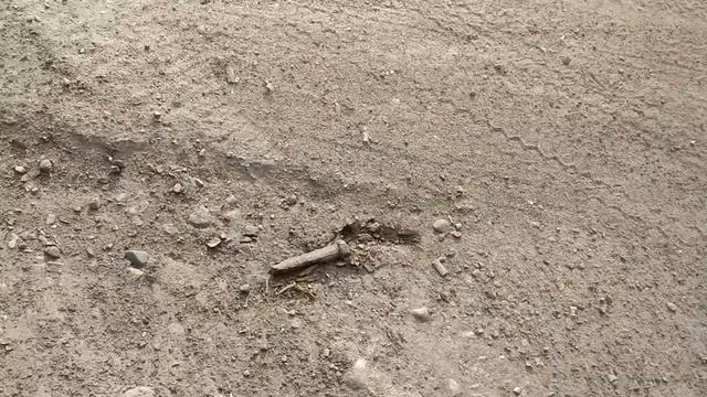 СДАЧА ПЛЕНКИ! КУЧИ АЛЮМИНИЕВЫХ БАНОК! ПОИСК МЕТАЛЛОЛОМА И ВТОРСЫРЬЯ! смотреть онлайн