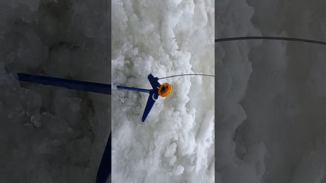 Жерлицы февраль 2014 смотреть онлайн