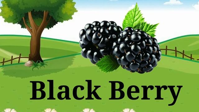 Json Dhital || Fruits name || Fruits name in Nepali смотреть онлайн